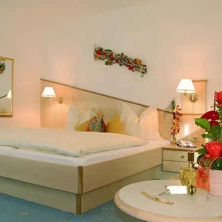 Отель Alpina Arlberg 3*