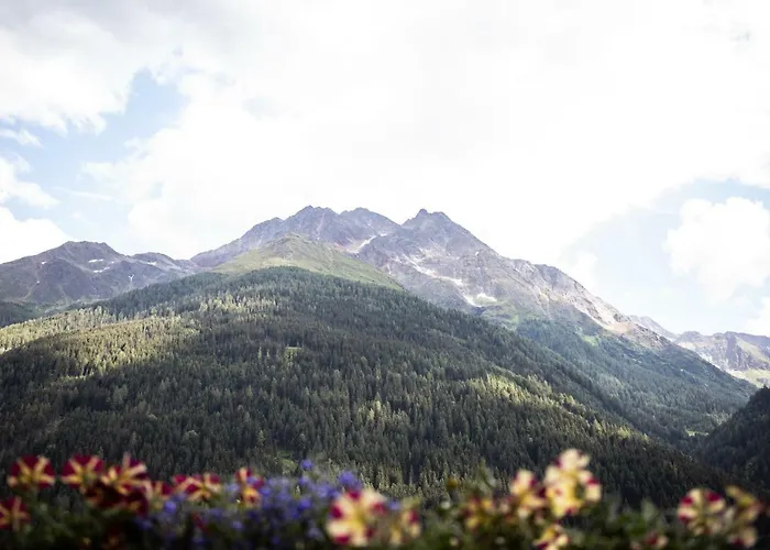 Alpina Superior فندق